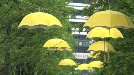 vignette_SSHsquare_vidéo2